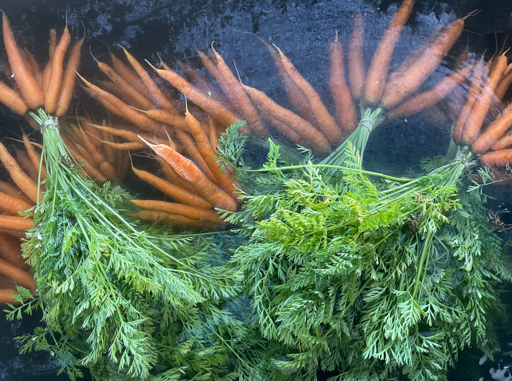 Vol. 1, Issue&nbsp;7