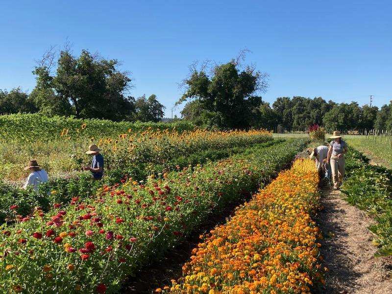 Vol. 1, Issue 11 – Oak Slough Farm