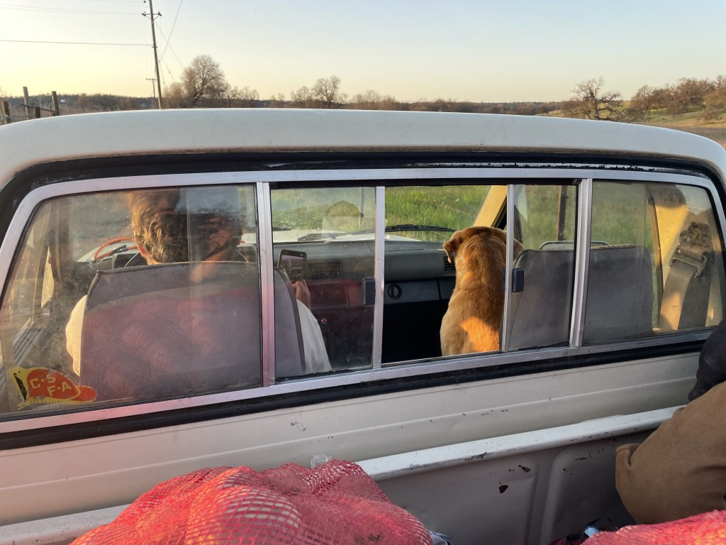 Vol. 1, Issue&nbsp;14