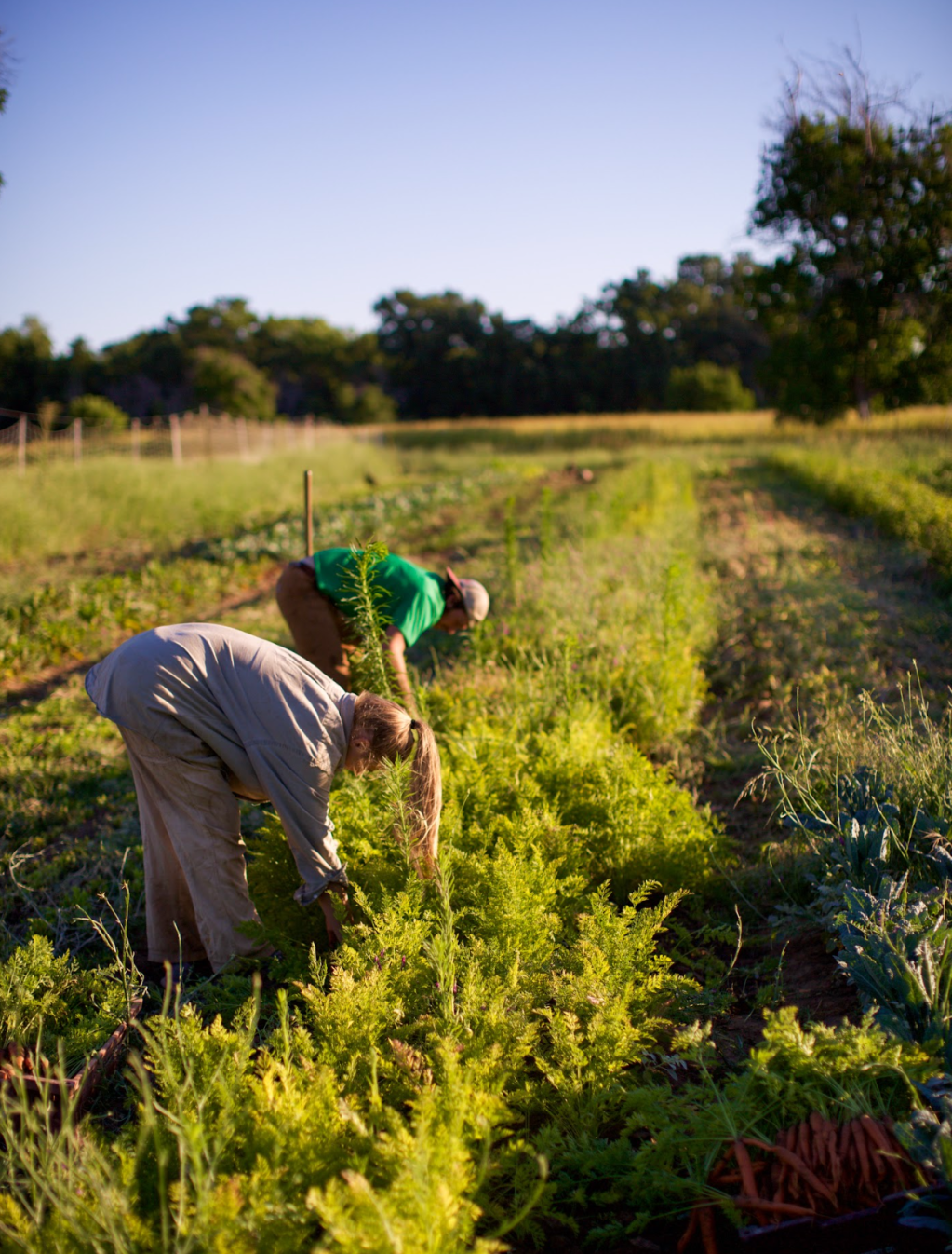 Vol. 1, Issue&nbsp;9