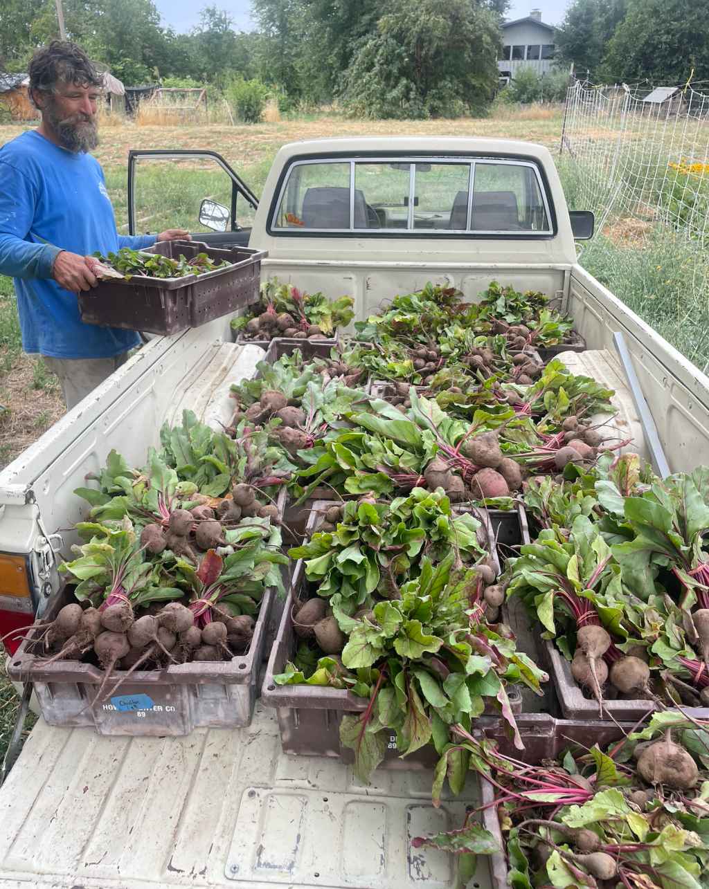 Vol. 1, Issue&nbsp;8